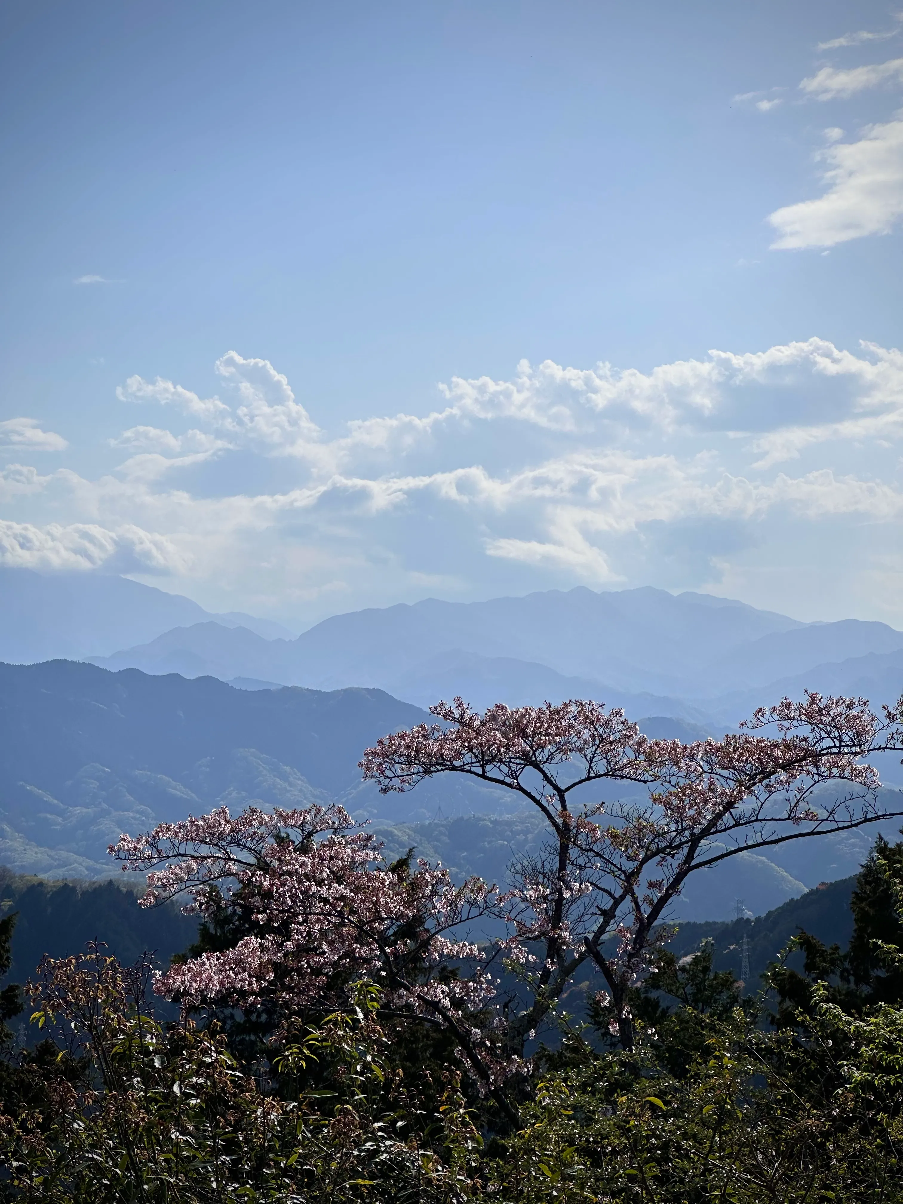 Mount Takao, Japan